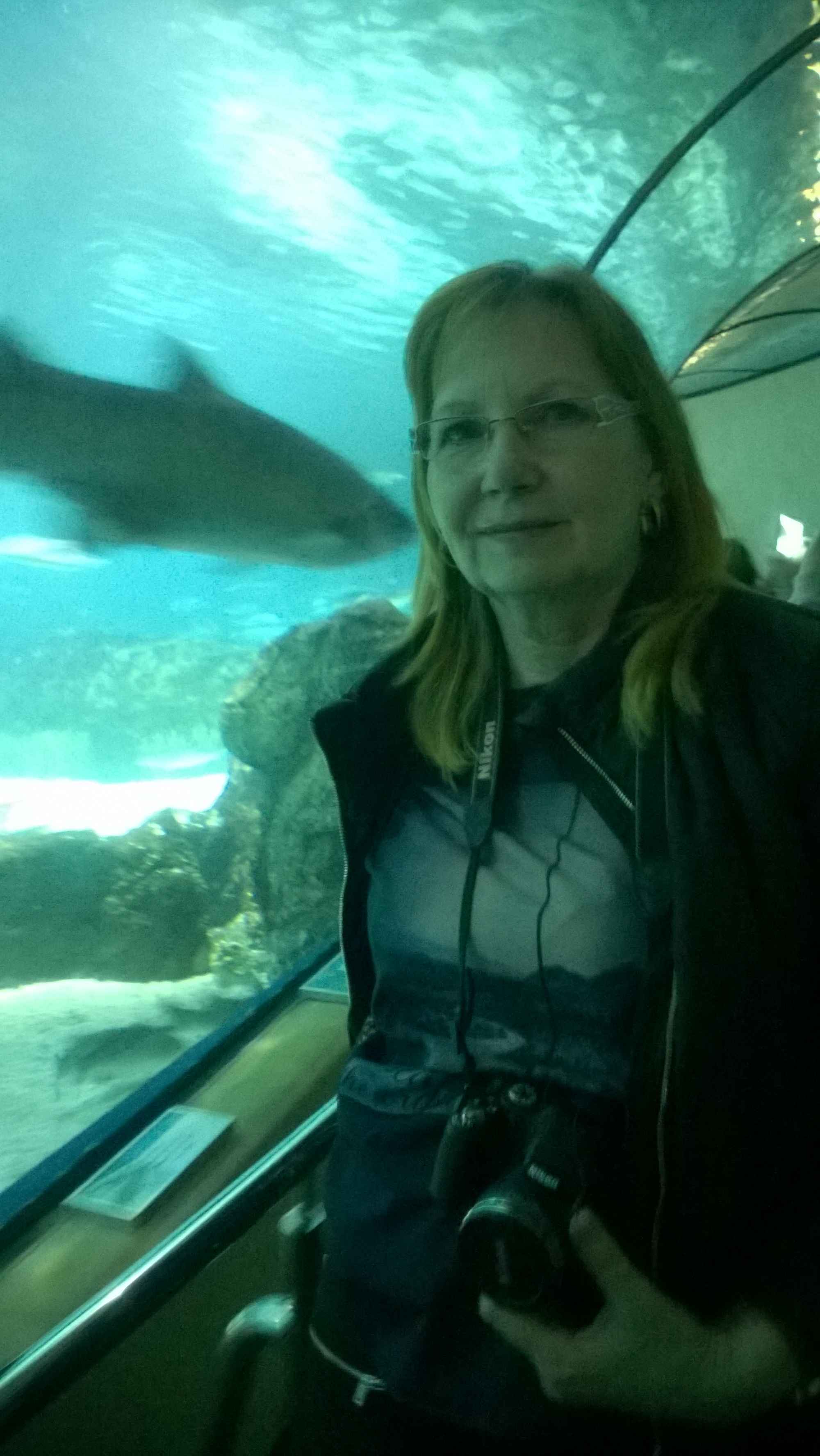 WP_20190326_070 – kopie